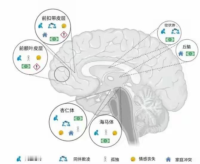 老话常说，“吃得苦中苦，方为人上人”，意在说明经过挫折和磨难的洗礼，人的方方面面
