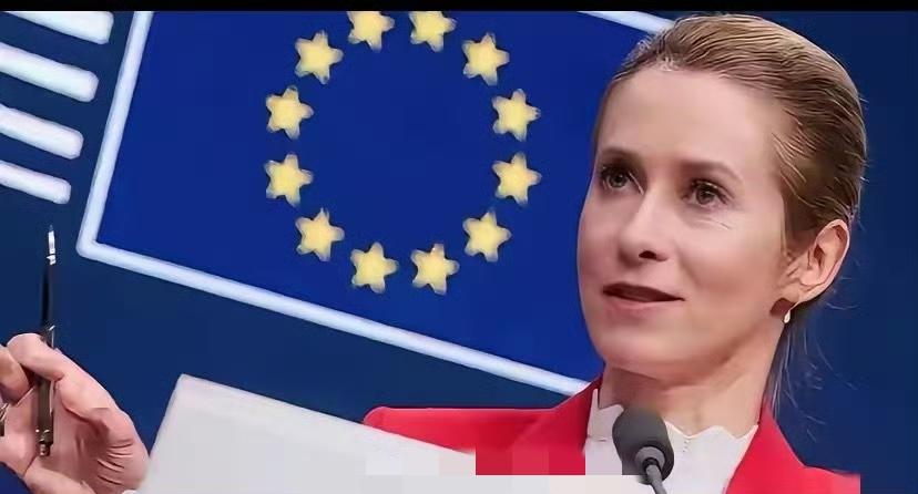 欧盟外长卡拉斯应该去乌克兰指导工作，她与泽连斯基是绝配，用嘴炮就能让俄罗斯无条件