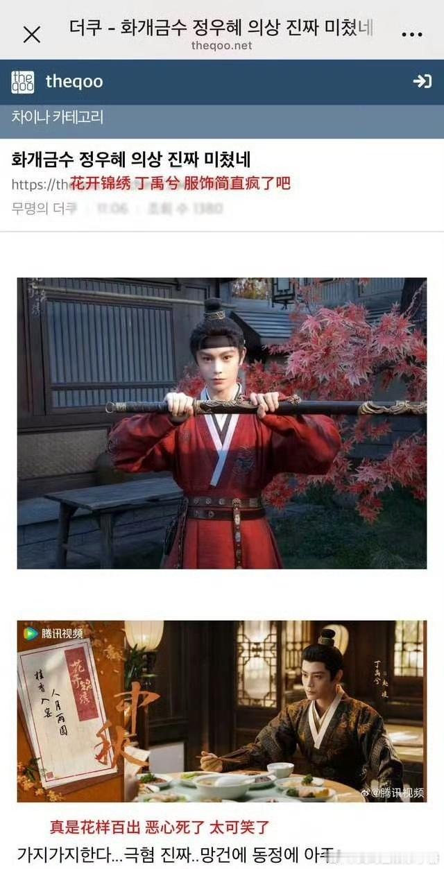 韩网热议丁禹兮花开锦绣造型怎么看？ ​​​