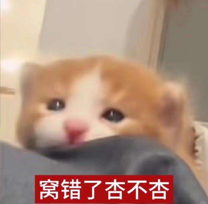 小猫表情包 俺不得劲 可爱表情包 小猫头像 