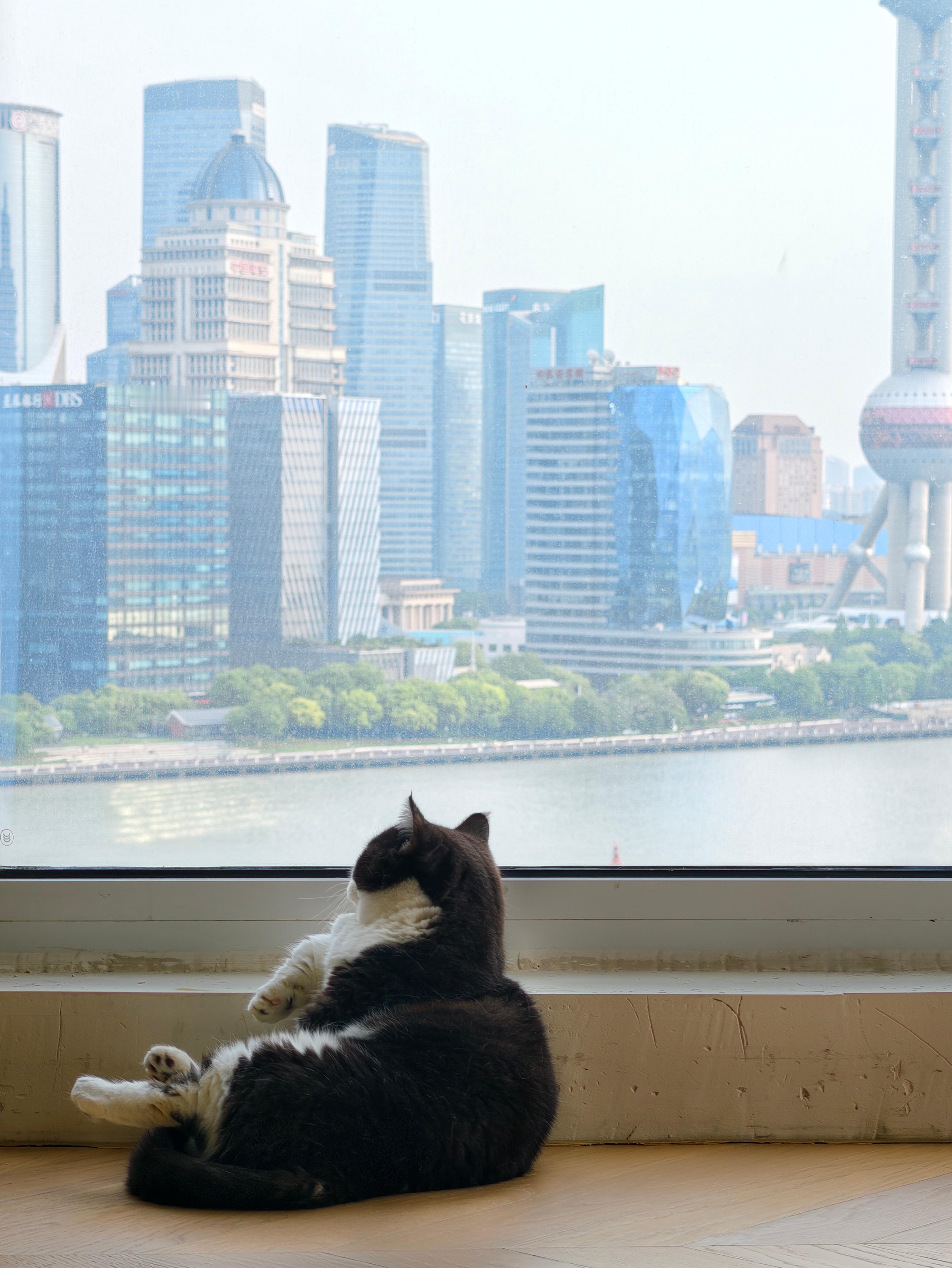 奶昔的小长假 