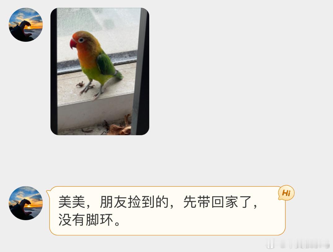 #宠物鸟投稿# 出门远航的牡丹鹦鹉🦜养鸟一定得看好自家的宝宝才行万一飞走就麻烦