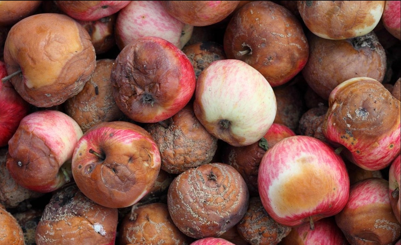 iPad中国市场份额大跌 它早该退出中国的iPad的舞台了。全网热点共创计划