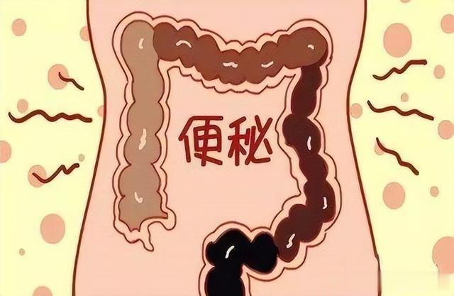 调理一个暑假，孩子排便正常了，睡觉不磨牙了，吃饭香了，脾胃营养吸收也好了！
 
