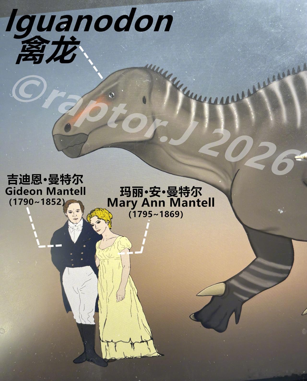 2026年的第一幅画，其实是给2025年最后一幅画收尾。
       2025