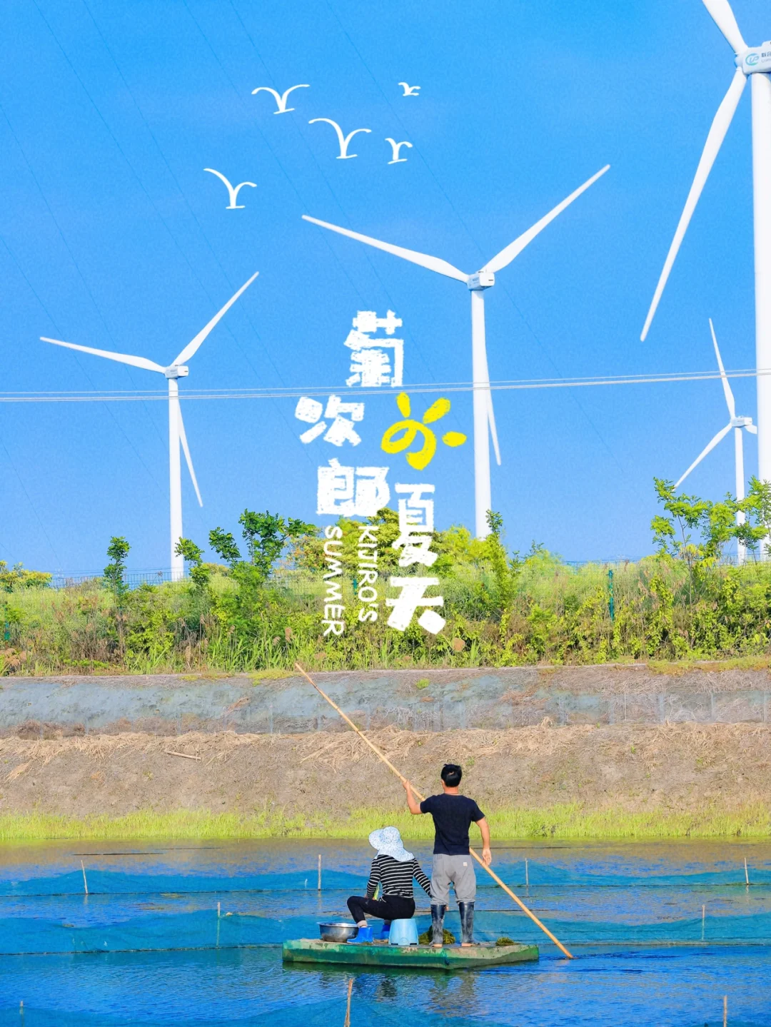 苏州绝美风车🎏江南鱼米之乡别样的🍉夏天🏝