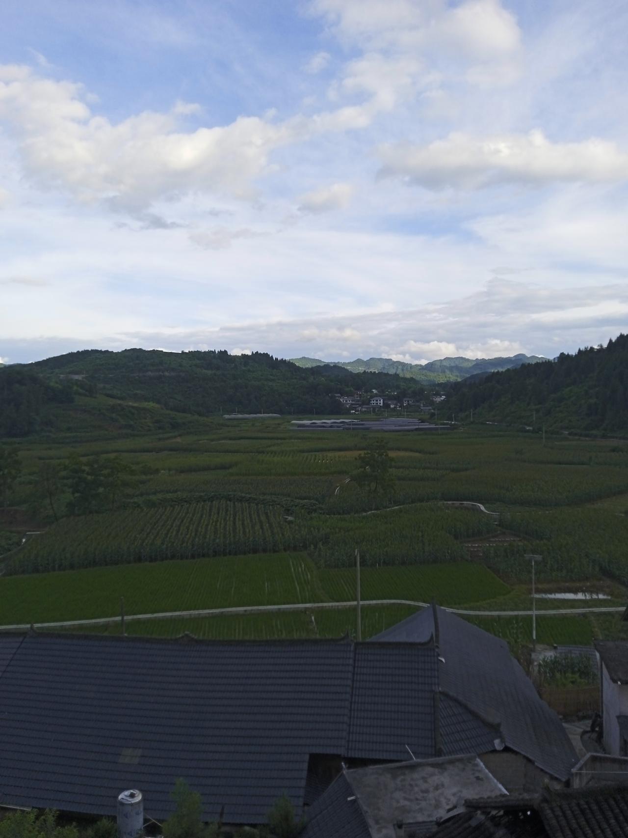 山坡上的那棵树

人间纷扰
我只想寻觅一处静谧
把自己还给自己
把世界还给世界