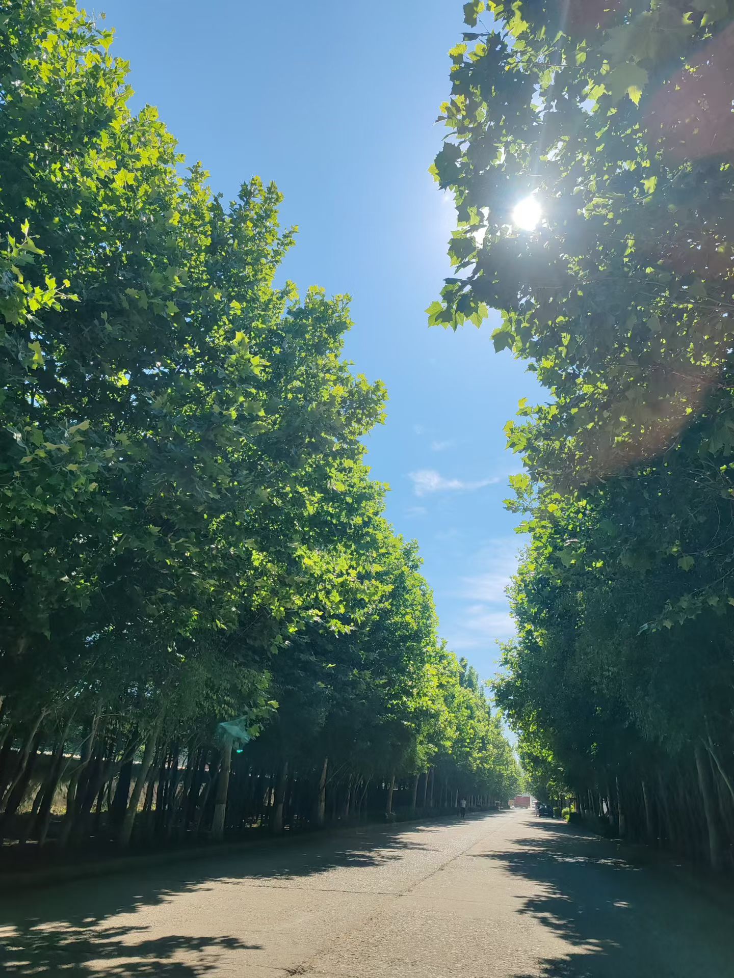 哪怕此刻的生活有多糟糕，也总会有好转的一天。走过的生活并不完美，太完美的也就不是