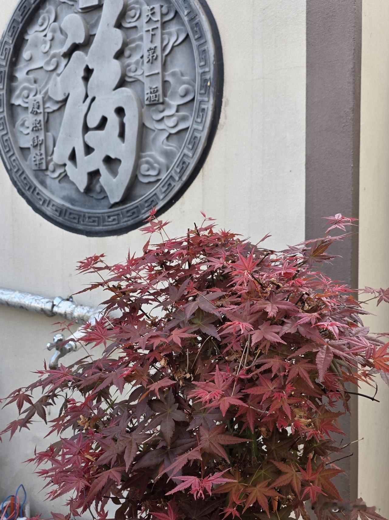 这10年，我有两次被人说出眼泪，其中一次发生在前天回济南的路上……

2016 