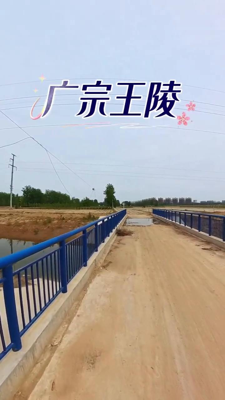 广宗王陵。