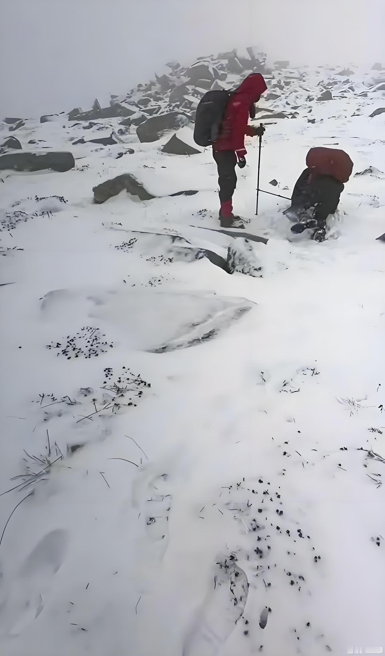 1月2日凌晨，5名外地人员刻意避开管护站点，违规闯入已明令禁止穿越的鳌山区域。事