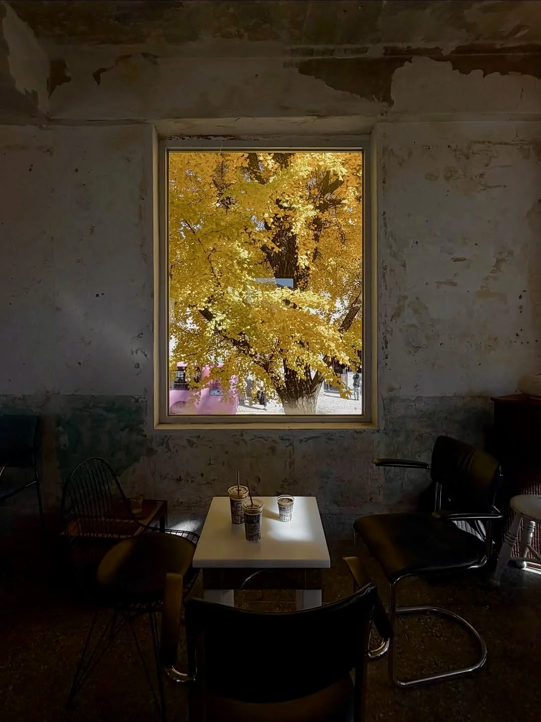 为了一扇窗…飞了一趟小韩🇰🇷🍂