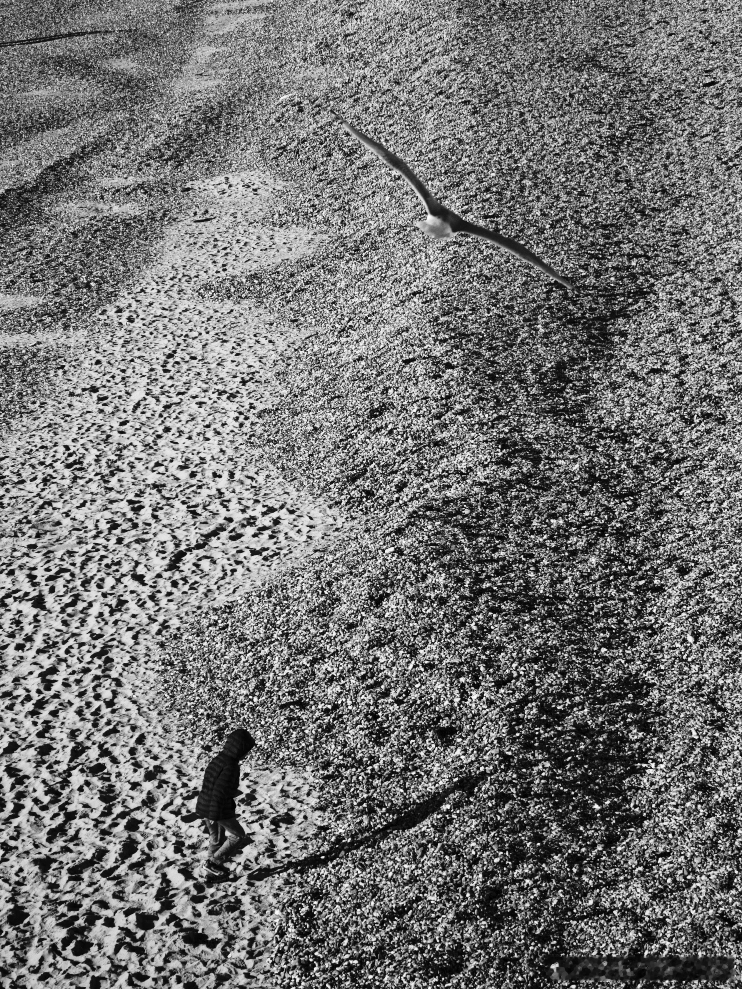 看山是山看山不是山看山还是山 