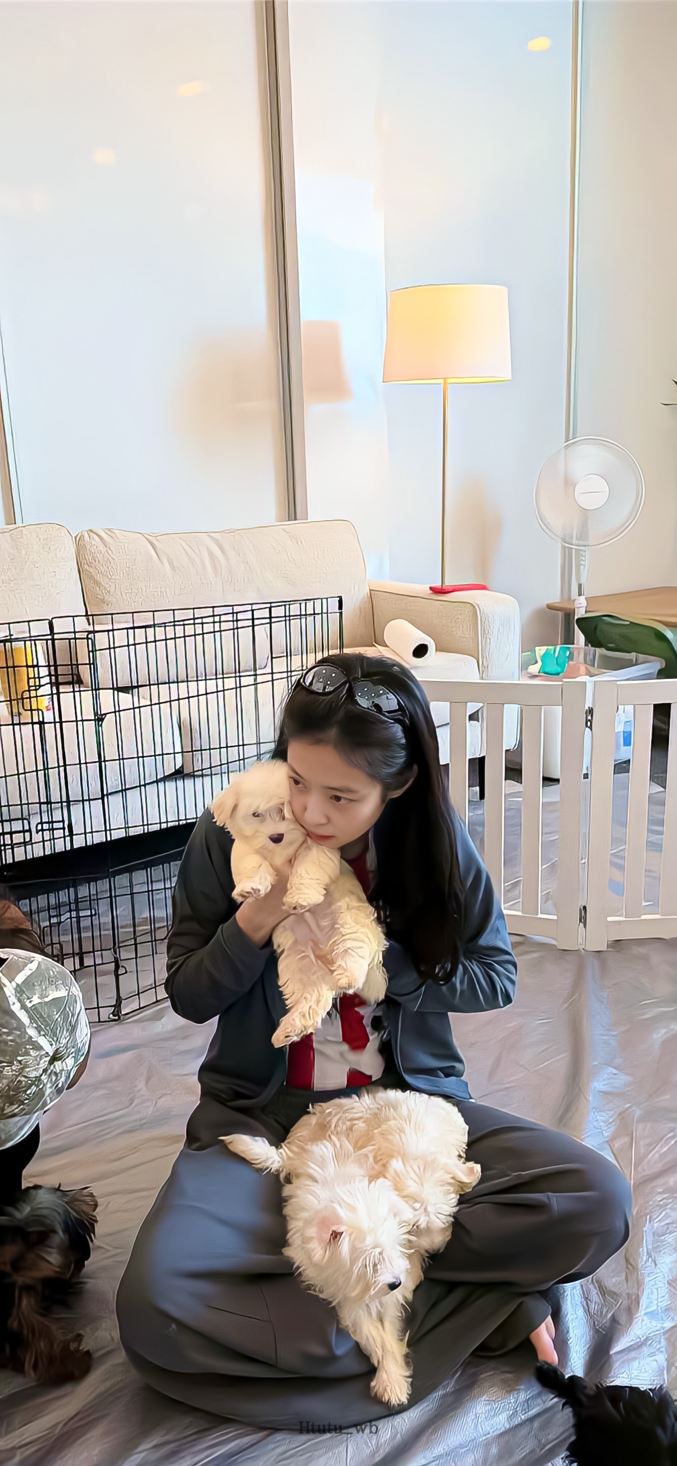 Jennie壁纸更新啦～🧸🐶 ​​​