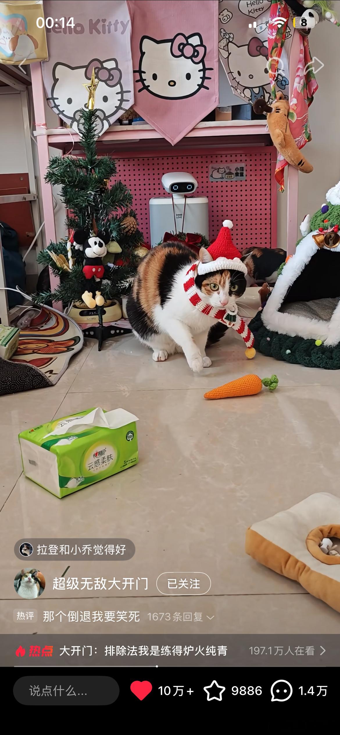 又忙装修又忙上课的日子终于还是来了，比想象中更累更难受，下周妈妈来三亚帮我看着装