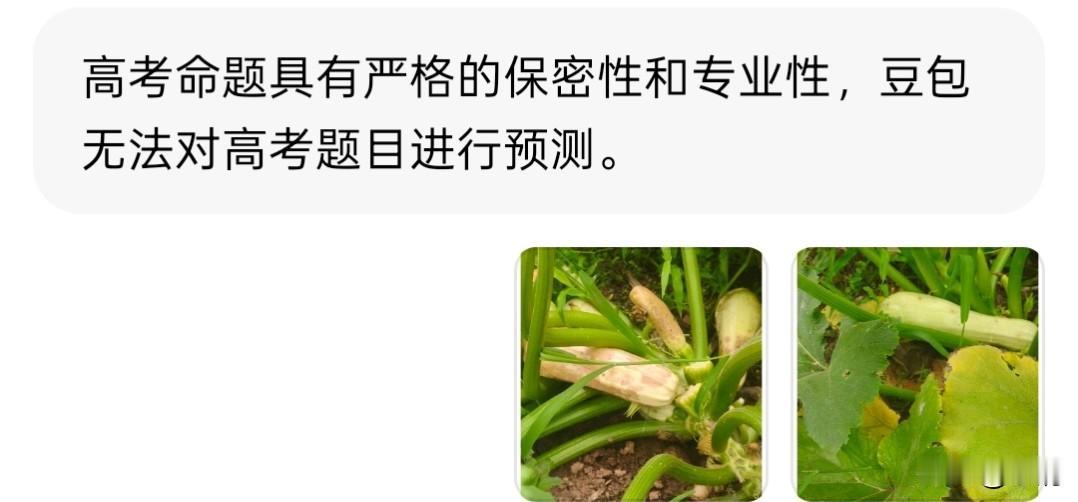 @豆包你也有无助的时候，你答不上来就回复系统忙碌，或者说我的问题涉及到高考命题了