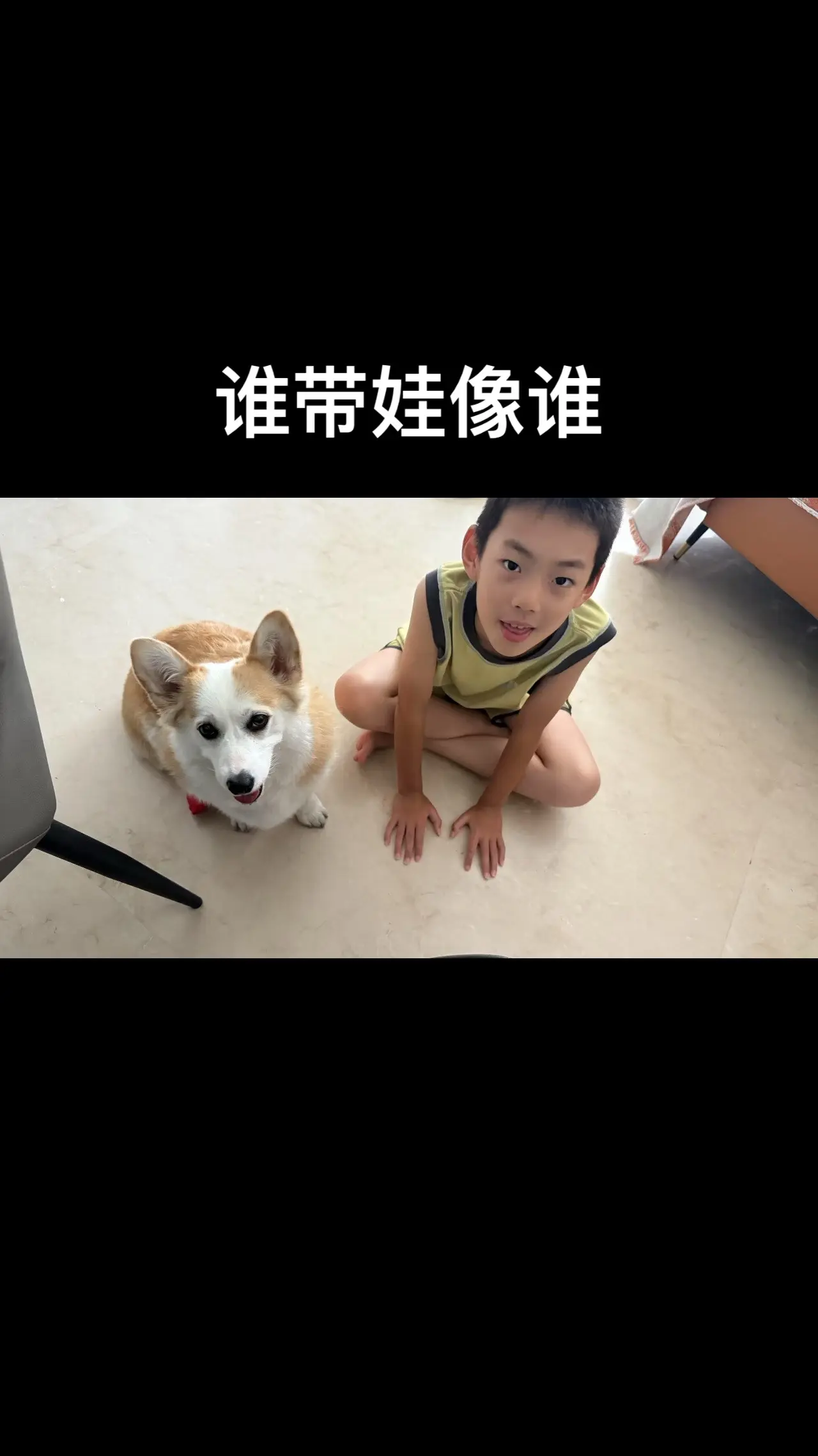 柯基 也太可爱了吧