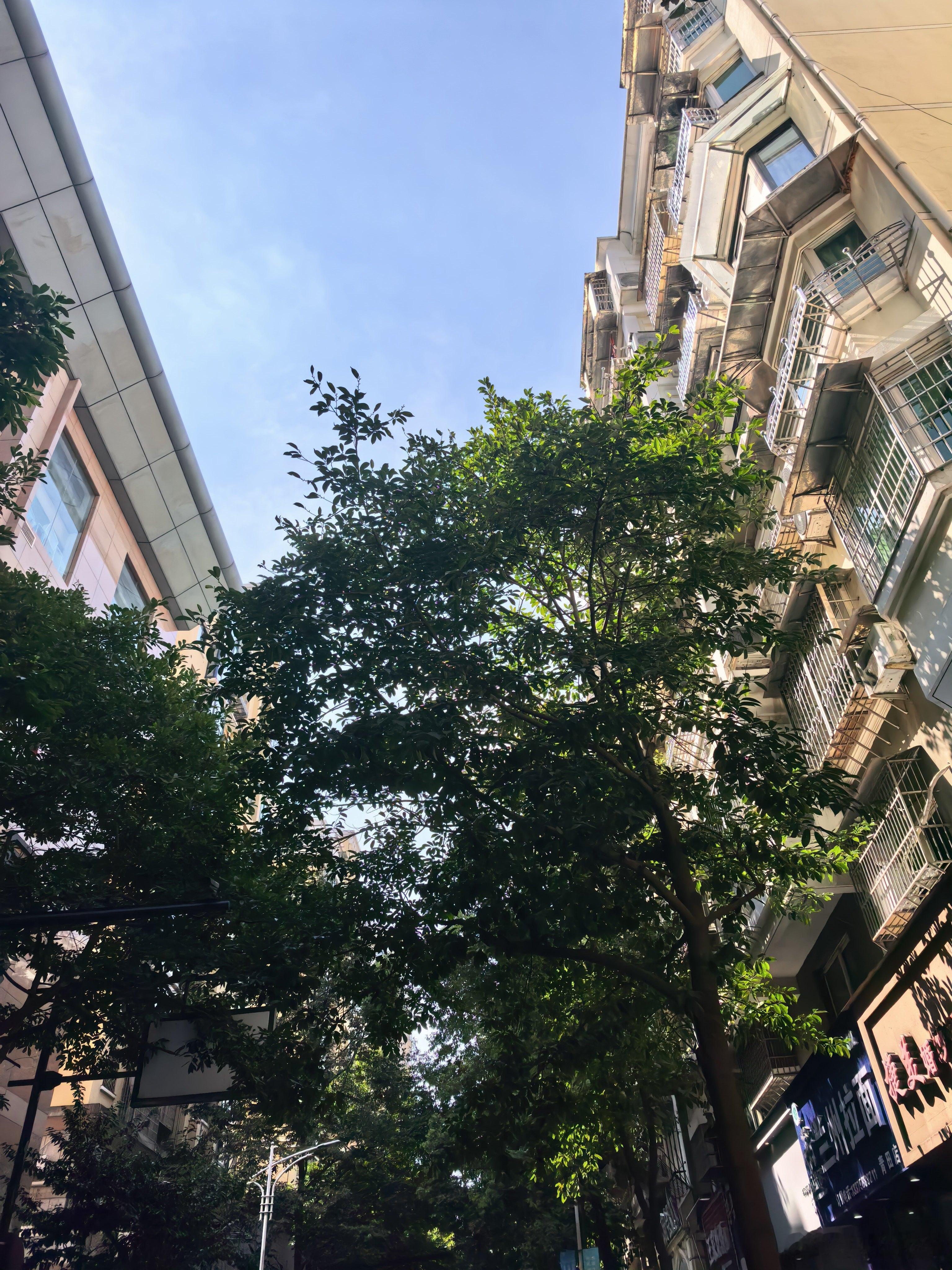 晴空万里，但是预防台风，全市所有商场14点都停止营业了[苦涩][苦涩][苦涩] 