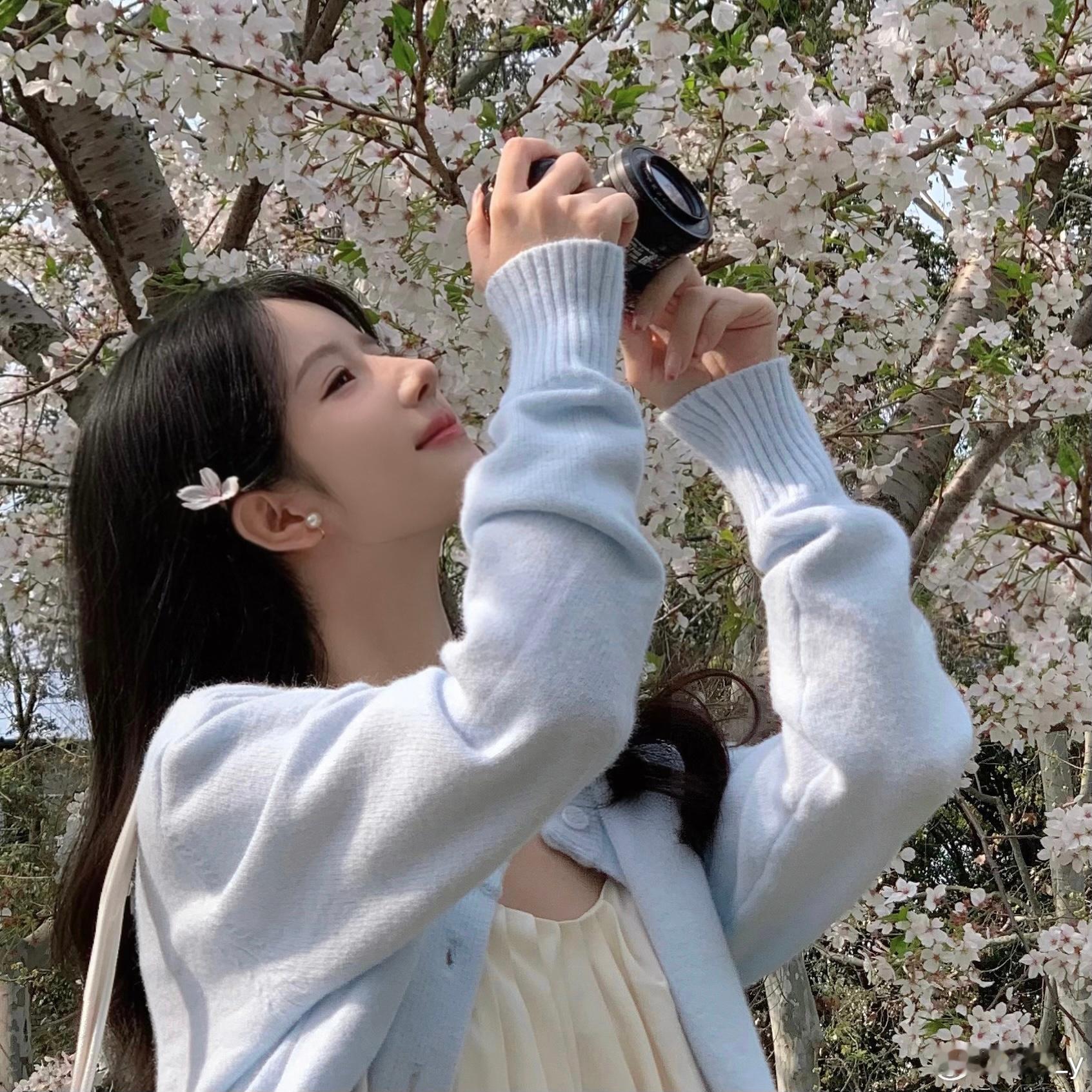 花一开就相爱吧 ​​​