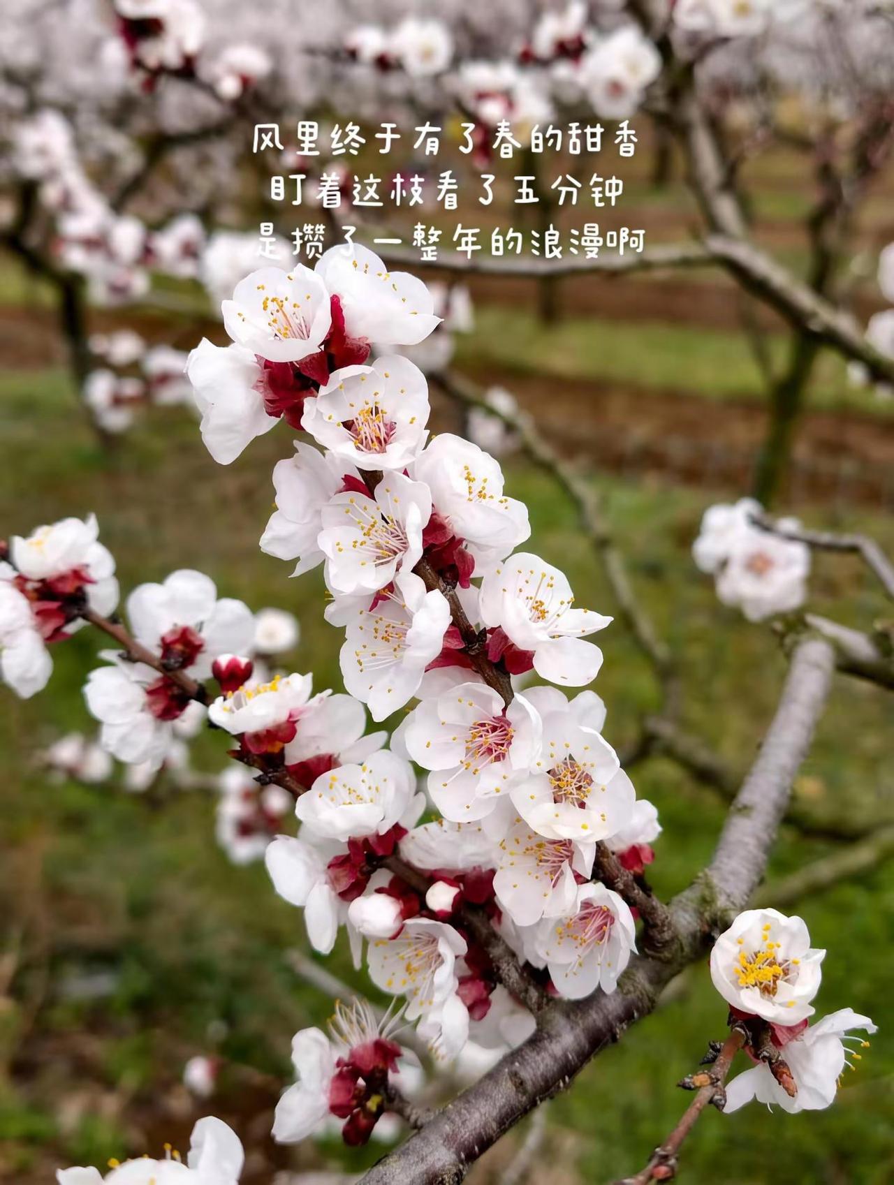 我的图片 随变ai随便玩