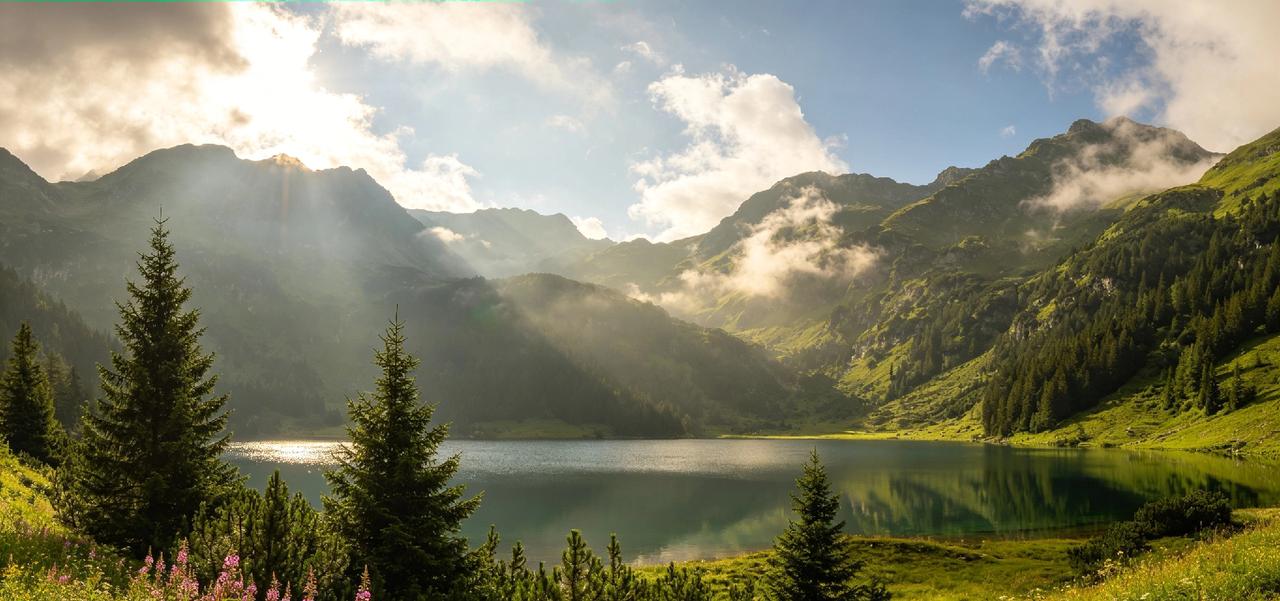 分享一下你随手拍下的照片