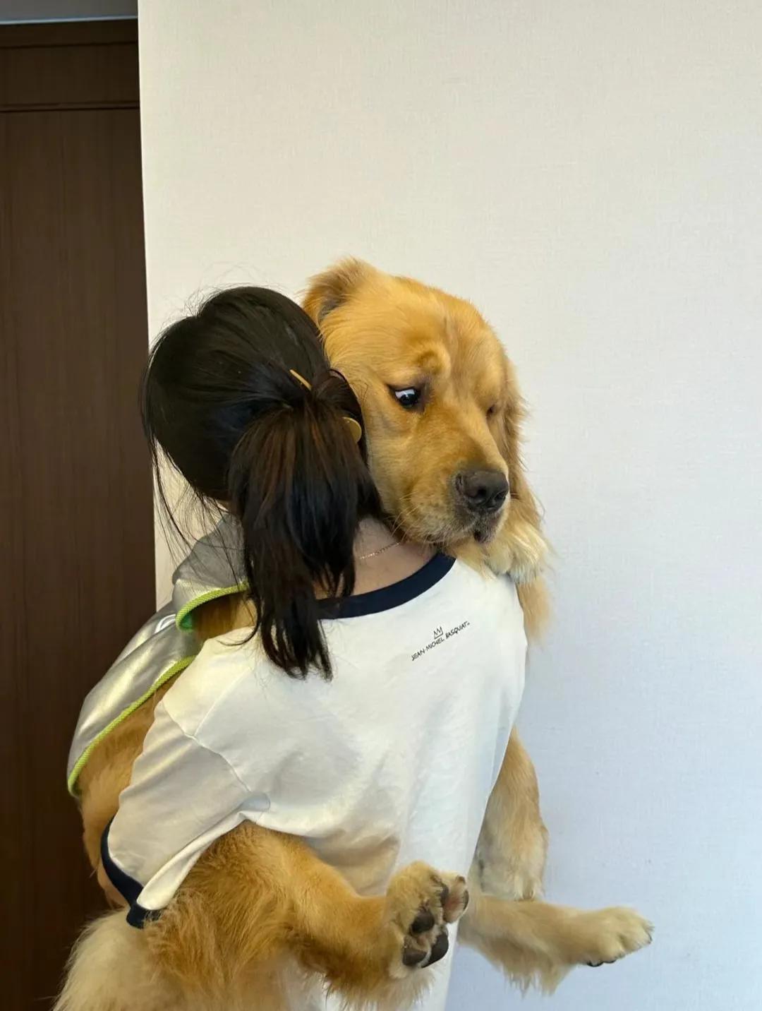 太荒唐了，四川女子养了一只大黄狗，每天还抱着大黄狗睡觉，万万没想到，这天狗到了发