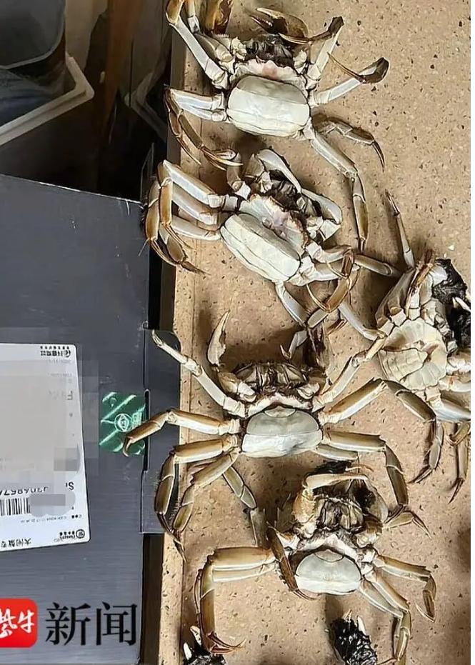 刚刷到这新闻笑不活了！为195块钱至于吗？真把AI当坑人工具了？

苏州蟹老板也