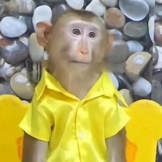 旧手机回收价暴涨五六倍什么…那我前几天3700回收掉的iPhone 15 PM算