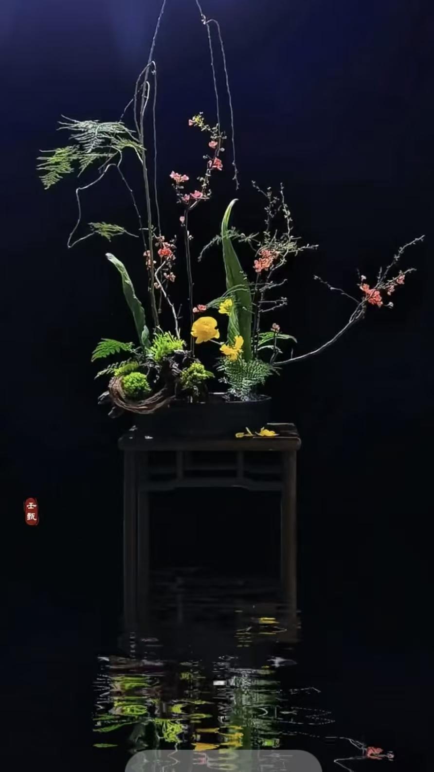 塞鸿秋·瓶中海棠
海棠插瓶香微漾，
残枝落影堪清赏。
莫求圆满随心相，
顺乎自然