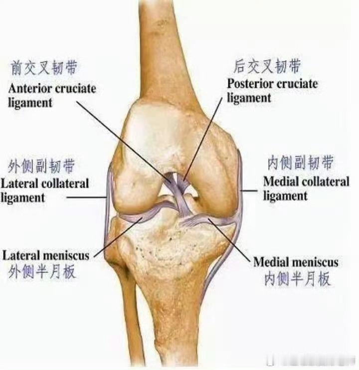 #前叉术后# 【前叉术后你需要注意的3个问题】膝关节前叉手术后，常常伴随髌骨软化