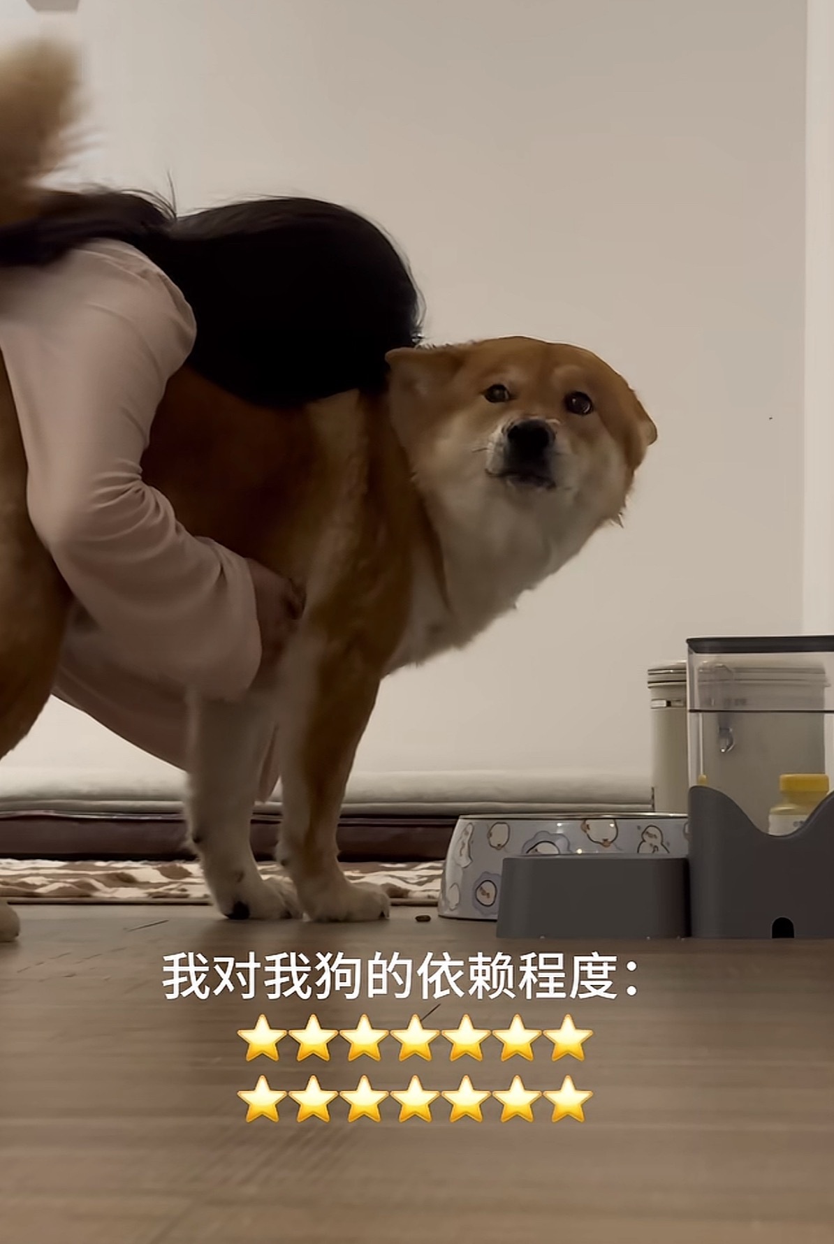 人 距离产生美 放开小狗੯‧̀͡⬮ 