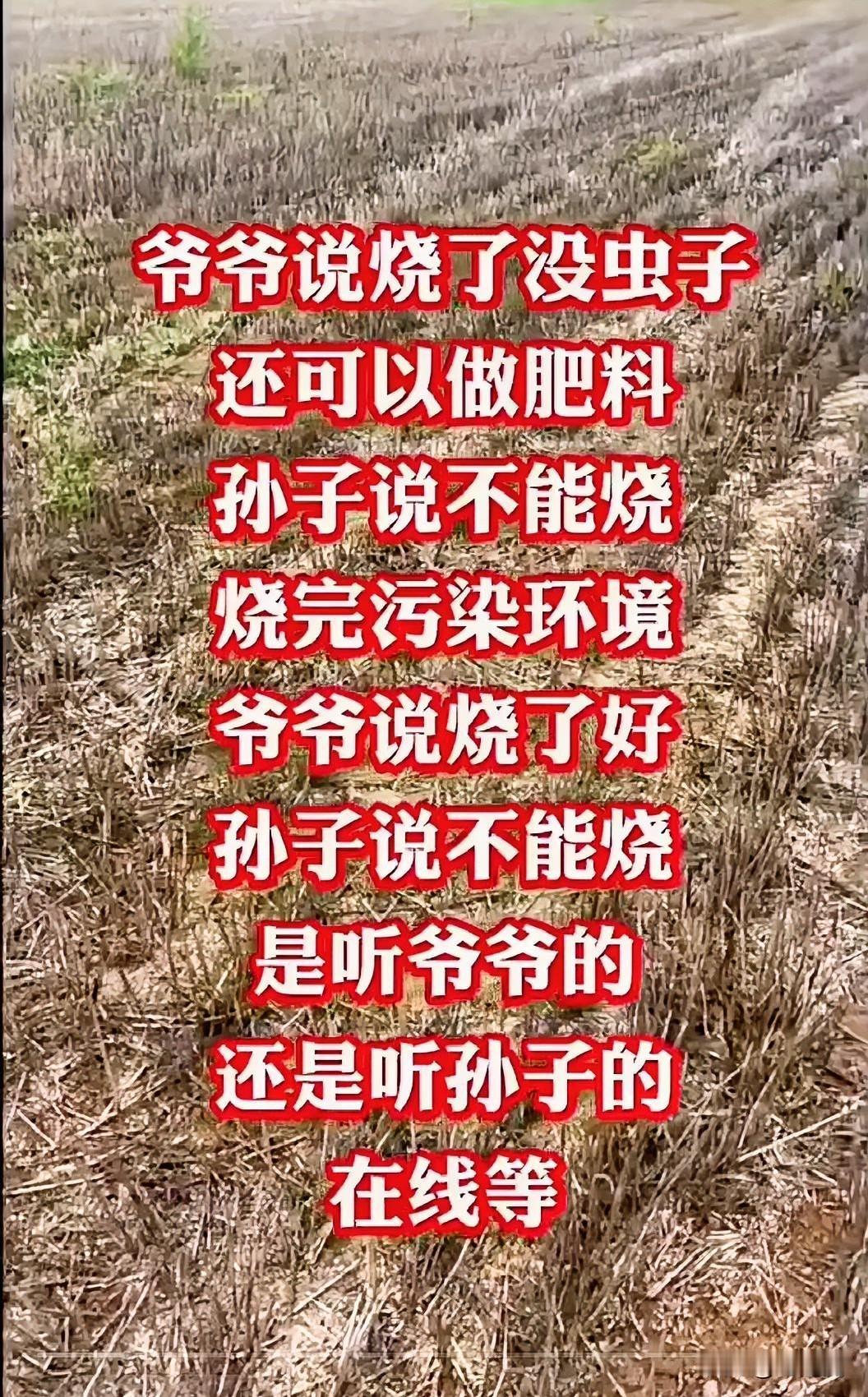 “爷爷说烧了没虫子，孙子说烧了污染环境！”这场家庭辩论赛，你支持谁？我夹在中间，