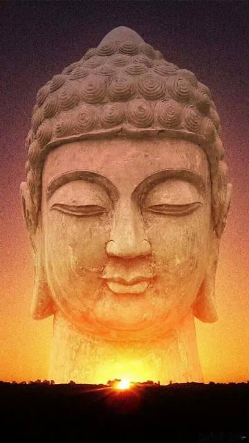 放下内耗，先要打开心量。心量越大，越不拘泥于一时一事，生活起来也更从容。 ​​​
