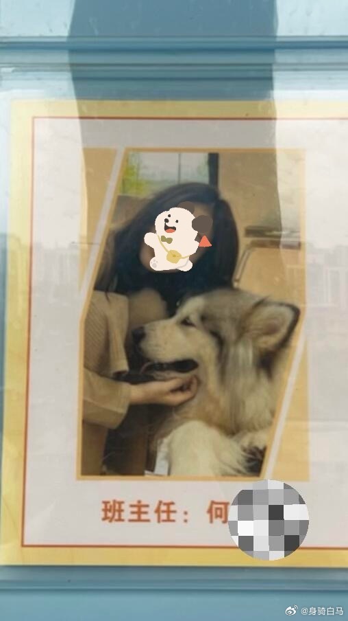 校长批评我教室门口的照片影响不好……