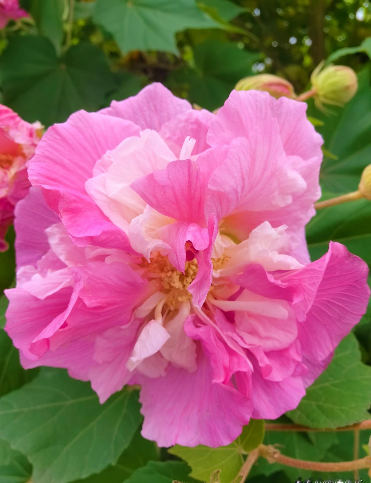 凌晨三点，你还在给一个陌生人打榜。
你的工资，变成了他的数据。
你的睡眠，成了他