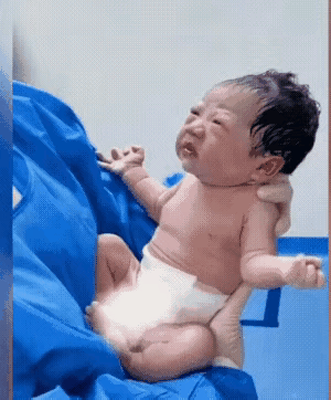 宝宝:怎么在这了？
他先两手一摊，然后两手再一抱。把他所有想要表达的都表达了，就