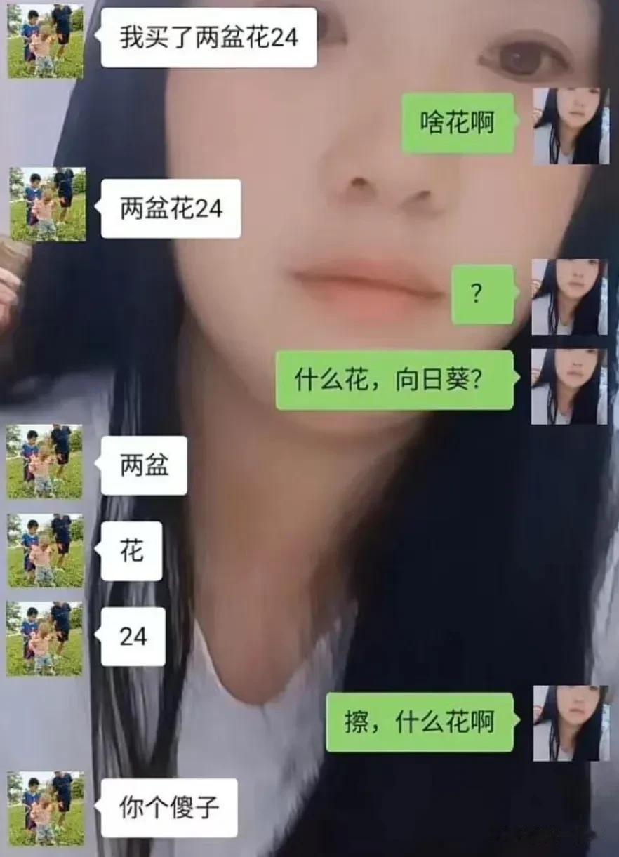 是什么花[what]