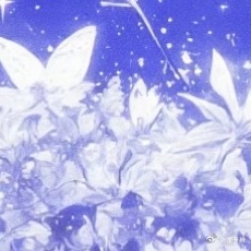 0000 点滴努力，终成星河成功从不是偶然降临，而是无数个平凡日子里默默付出的总