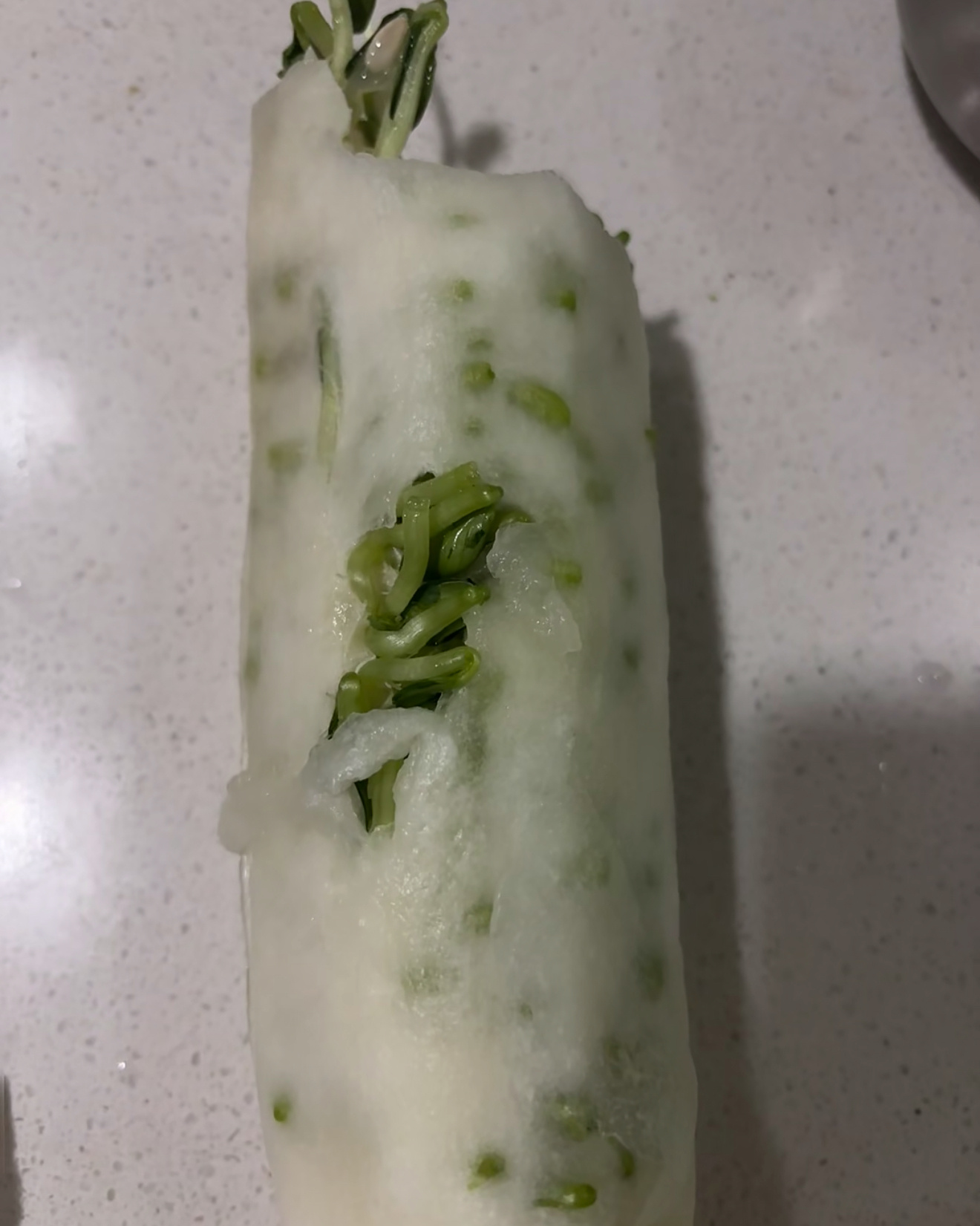 老黄瓜里发芽了，有没有研究价值 ​​​