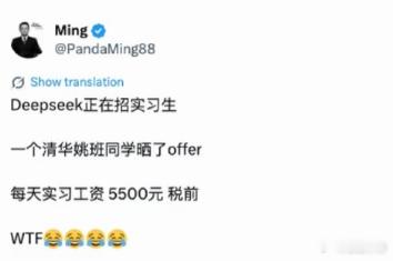 DeepSeek工资待遇太恐怖了数码闲聊站 竟然还有按天计算工资的嘛？！！550
