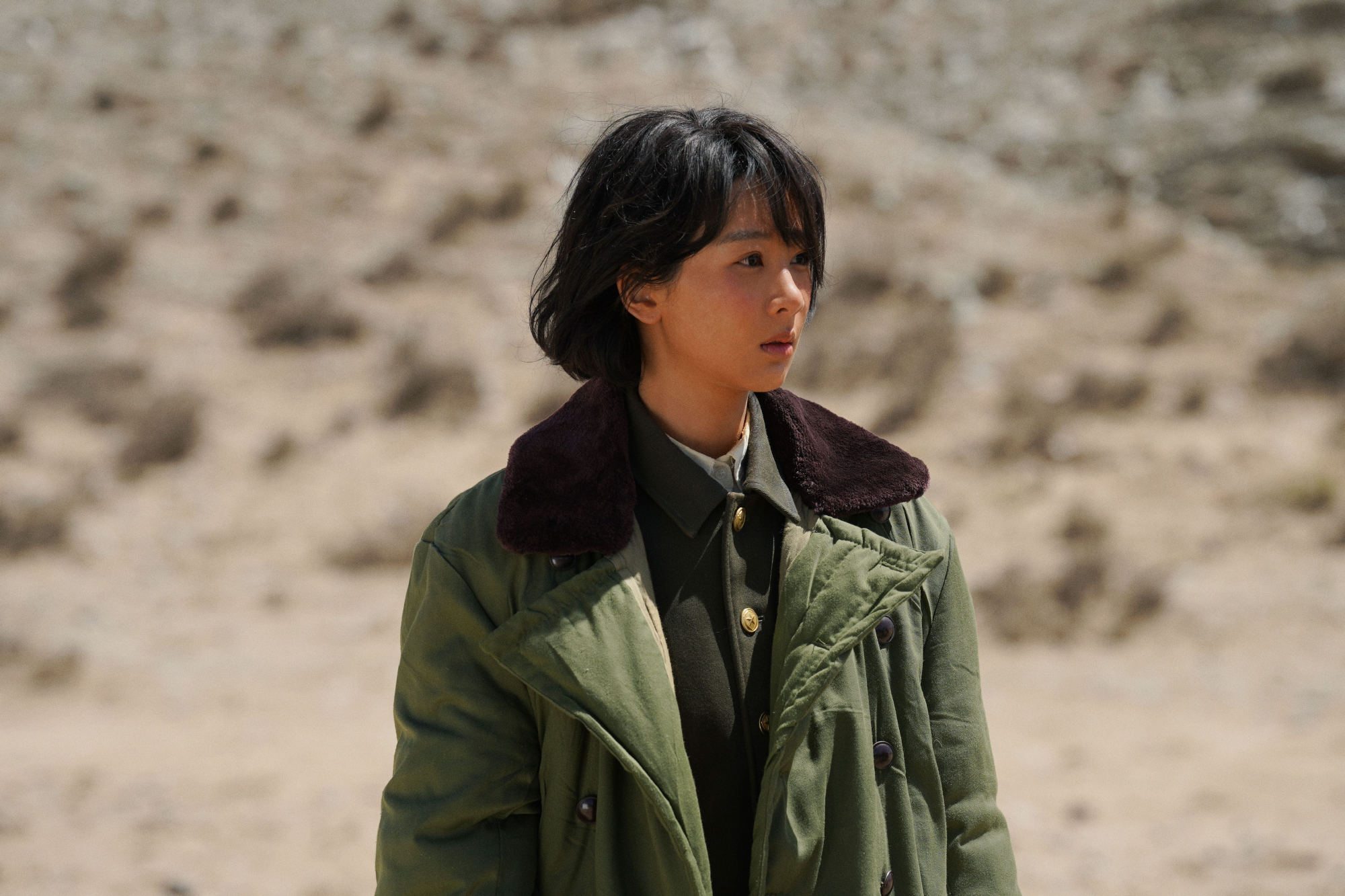 搜狐娱乐 杨紫 生命树 