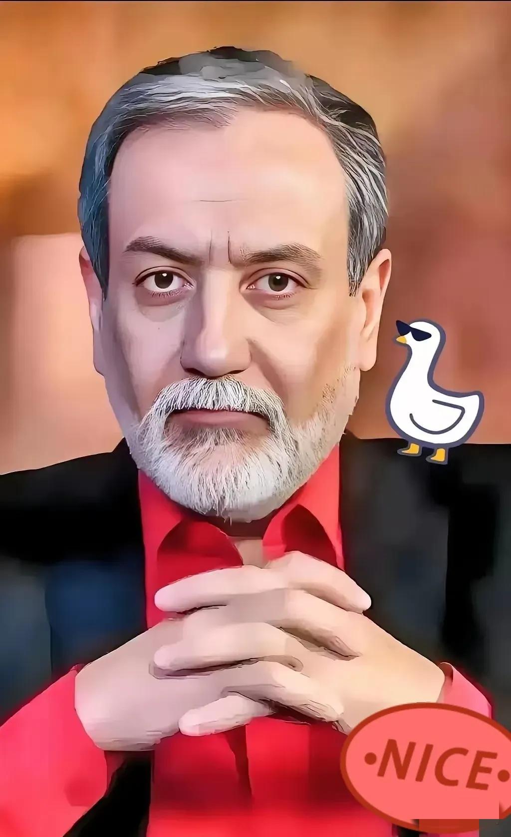 伊朗传来新消息
伊朗议会要员宣布一个大消息，伊朗外交部长阿拉格齐访问巴基斯坦只是