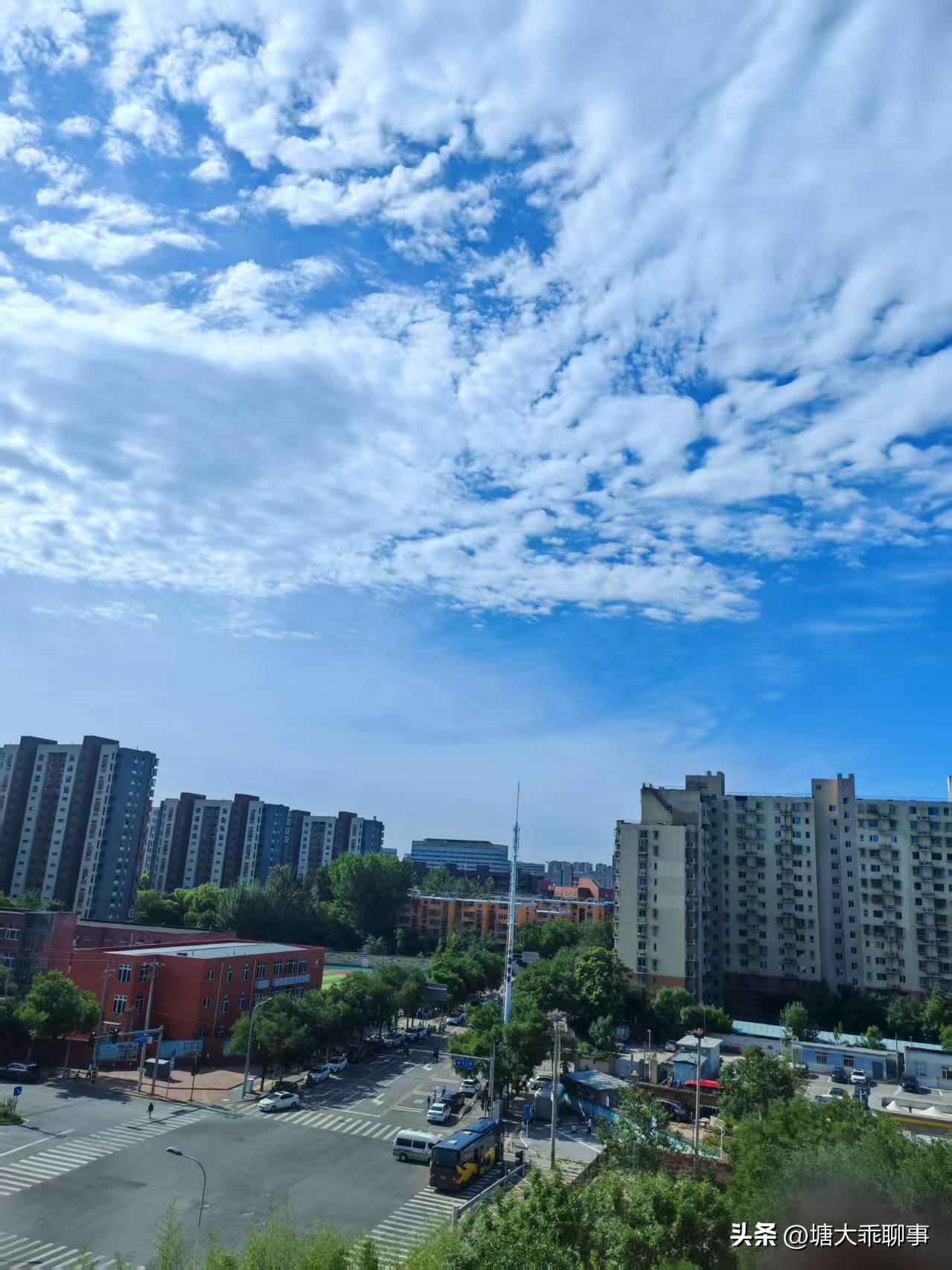 夏日生活打卡季