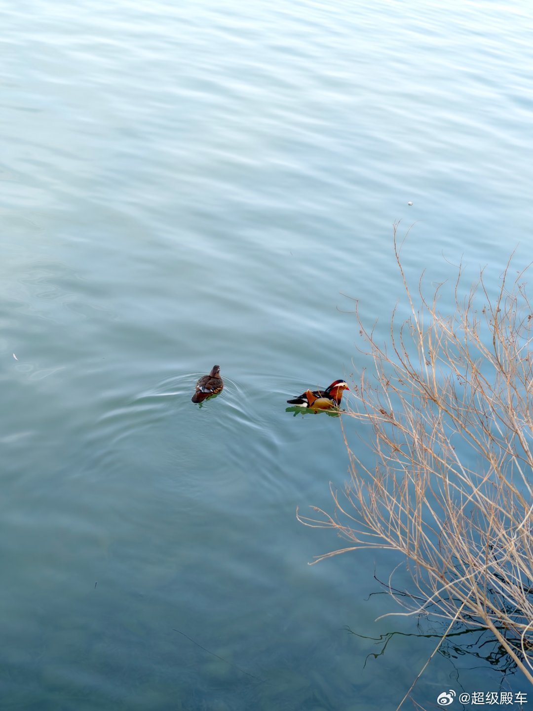 小米性价比高那会儿，被骂是屌丝、组装厂。现在小米玩情绪价值了，又被骂利润率高。该