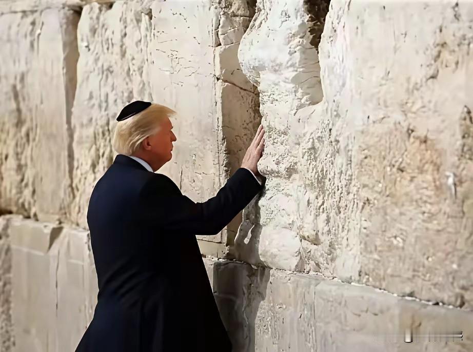 一个金发大佬，一个白发老头，分别摸着同一段石墙，还有他俩凑在一起窃窃私语的合影，