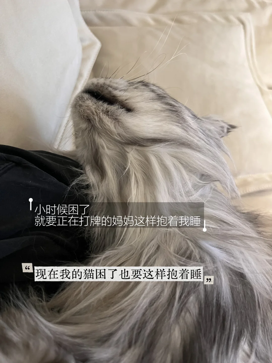 我家猫这睡觉的臭毛病，和我小时候一模一样…