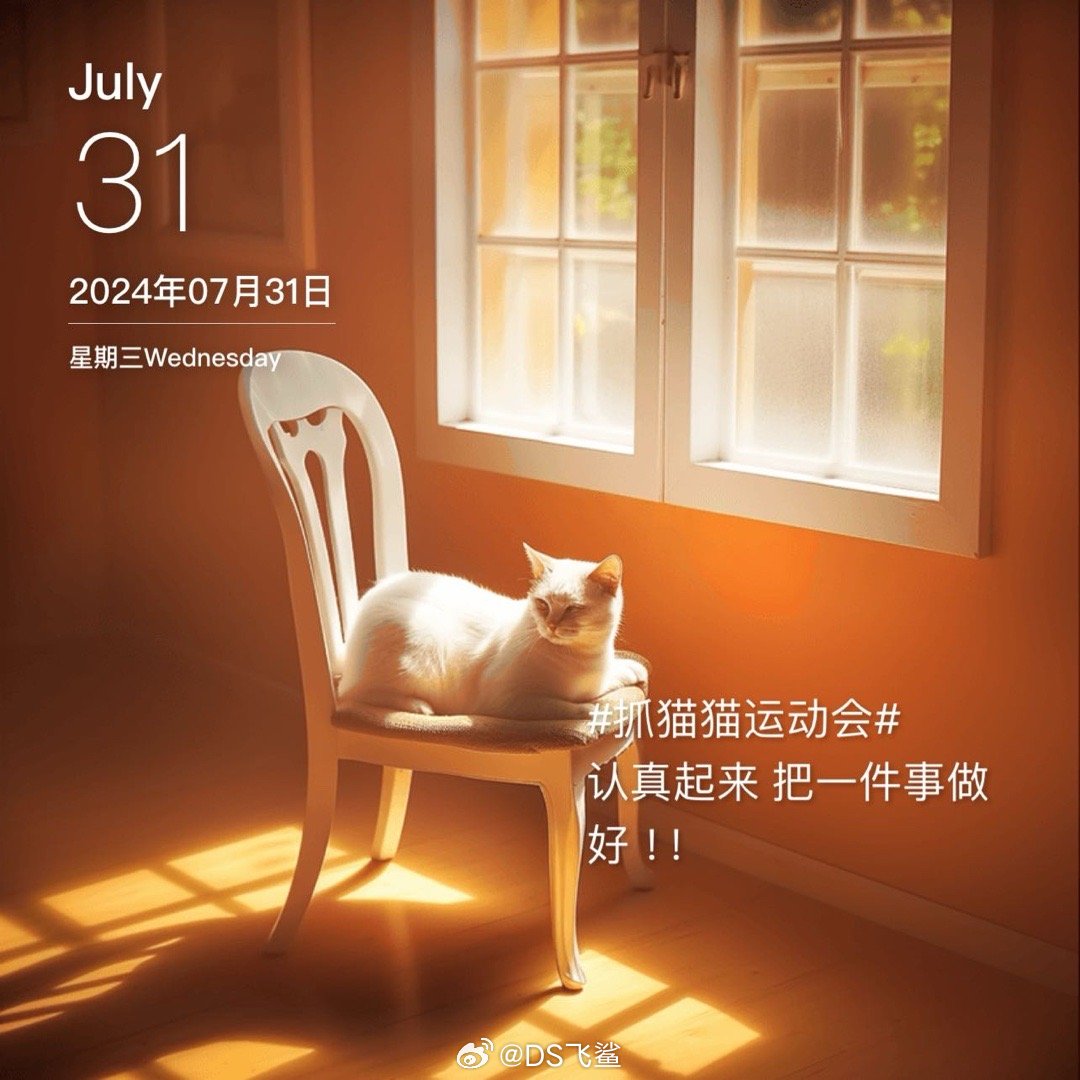#抓猫猫运动会#认真起来 把一件事做好 ！！ ​​​