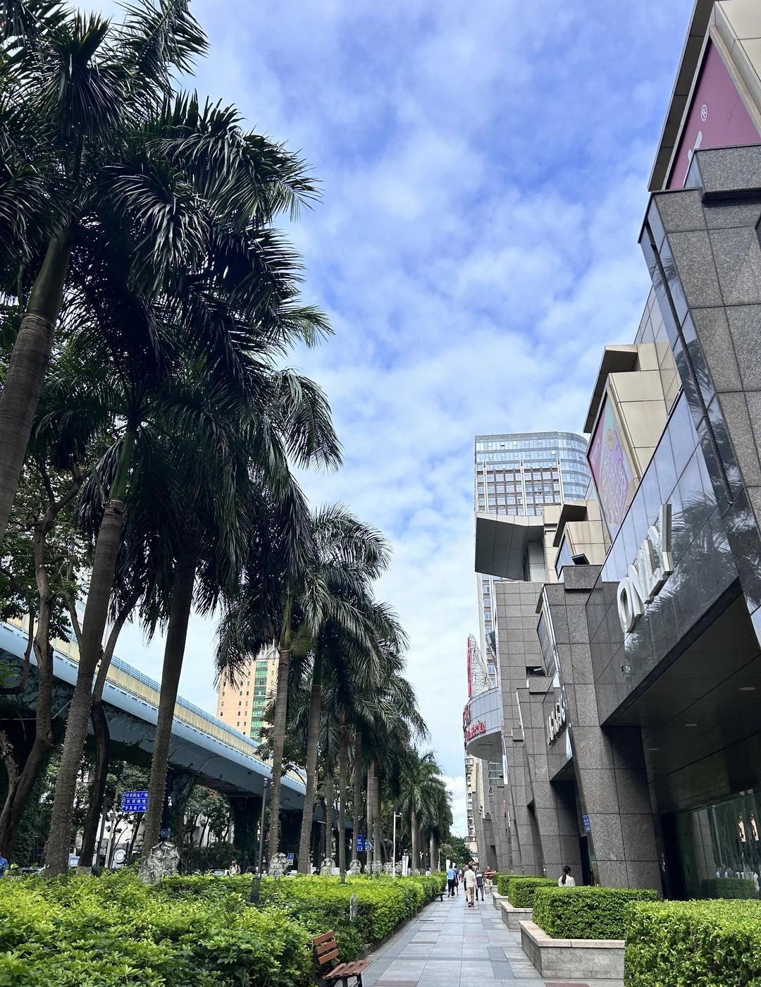 厦门｜昨天下了一天的雨！今天放晴啦～
厦门 厦门旅游 厦门天气 绿化带