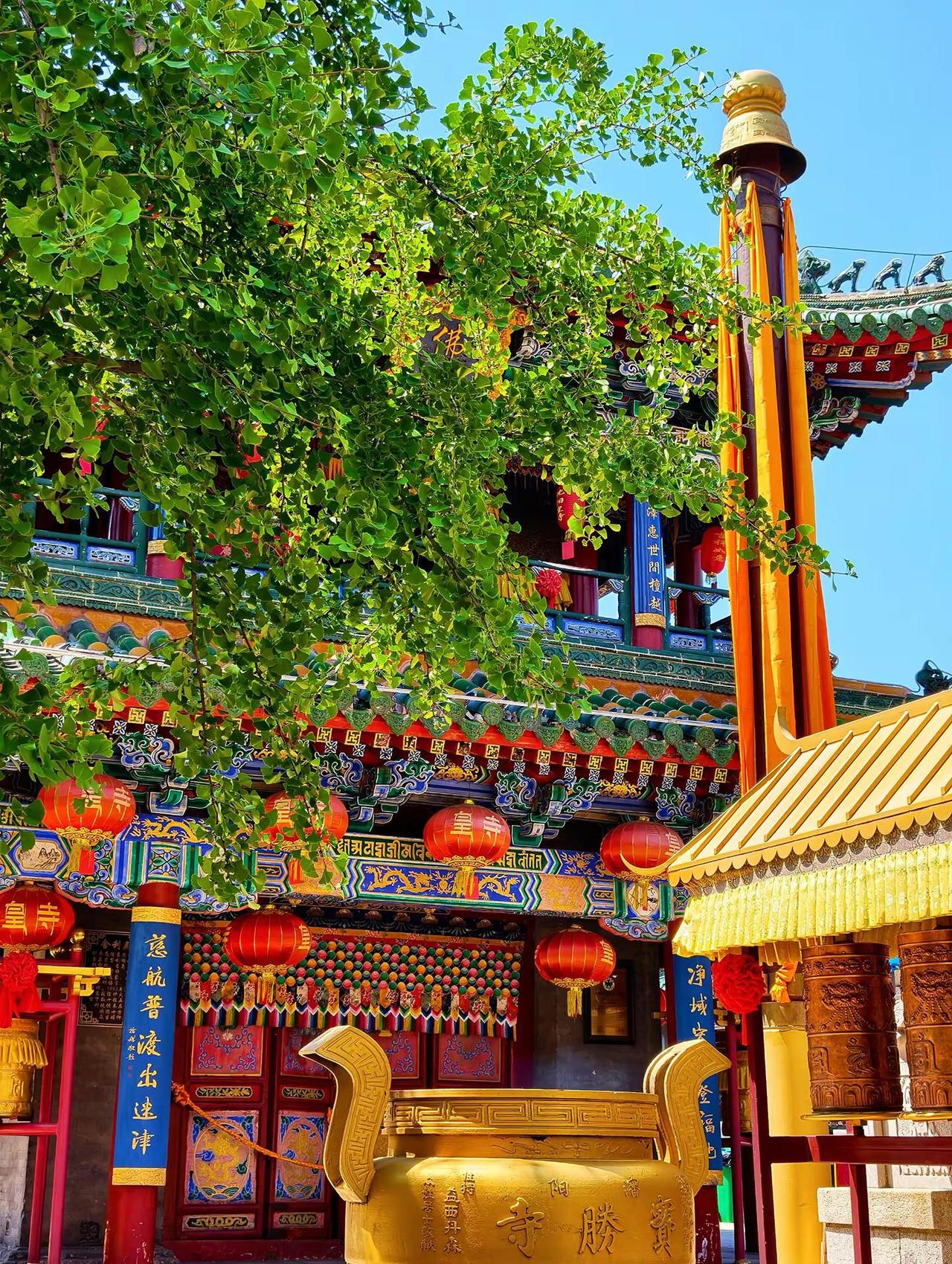 这样的音乐，很静心！静心看世界 记录真实生活 随拍 沈阳