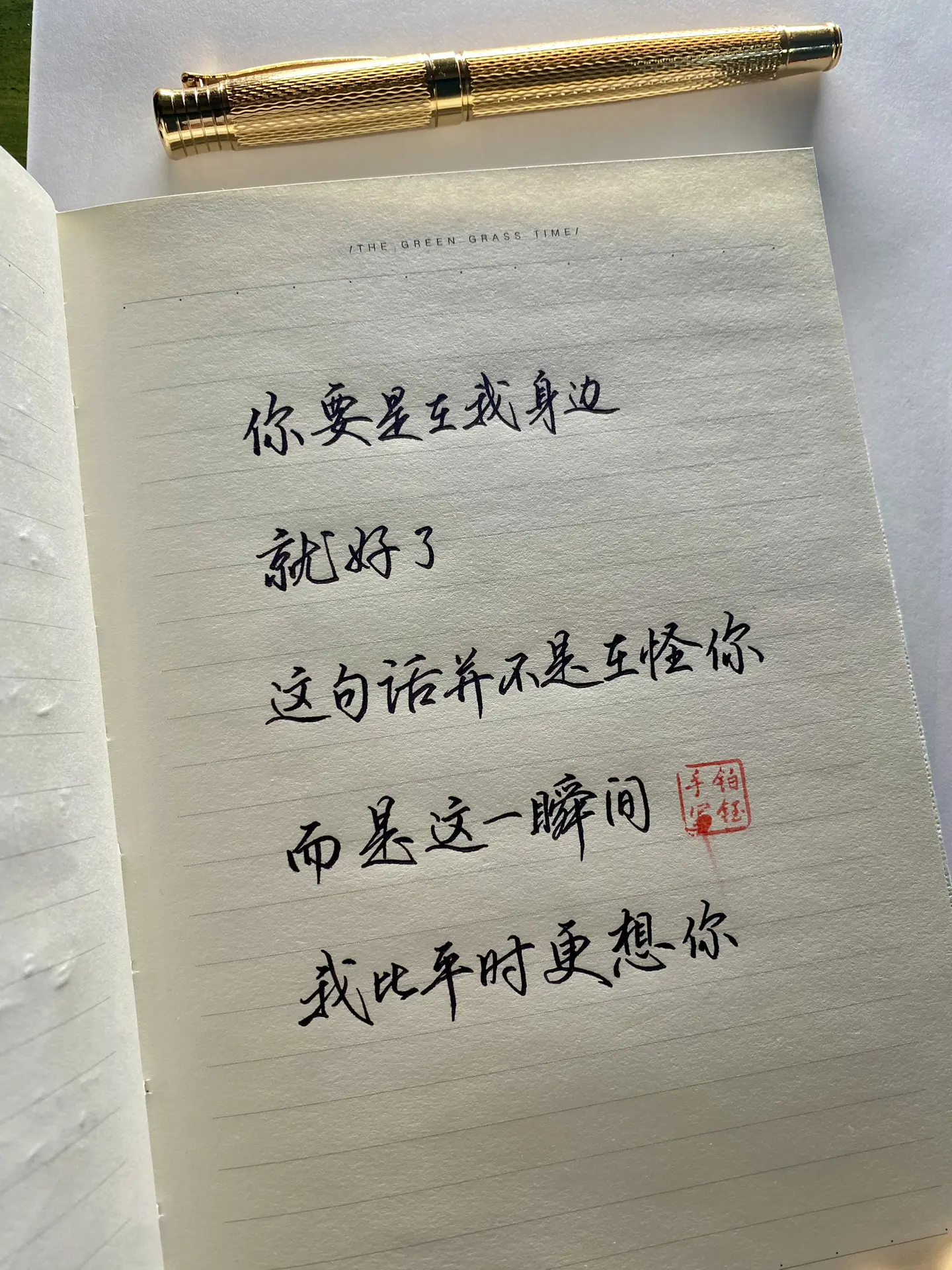 手写 笔：扬子鳄996亮银0.7 本：青禾纪